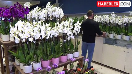 Evlilik yıl dönümünde şehit olan mühendis Ekici'ye eşinin siparişini götüren çiçekçi konuştu