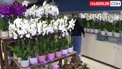 Evlilik yıl dönümünde şehit olan mühendis Ekici'ye eşinin siparişini götüren çiçekçi konuştu