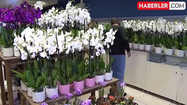 Evlilik yıl dönümünde şehit olan mühendis Ekici'ye eşinin siparişini götüren çiçekçi konuştu