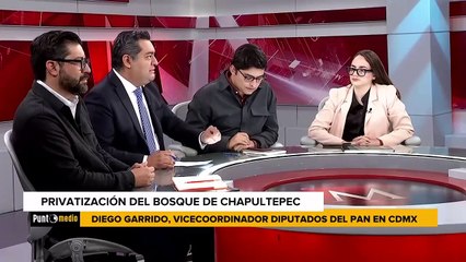 El Senado debate la iniciativa de supremacía constitucional. Pedro Gamboa, 24 de octubre 2024