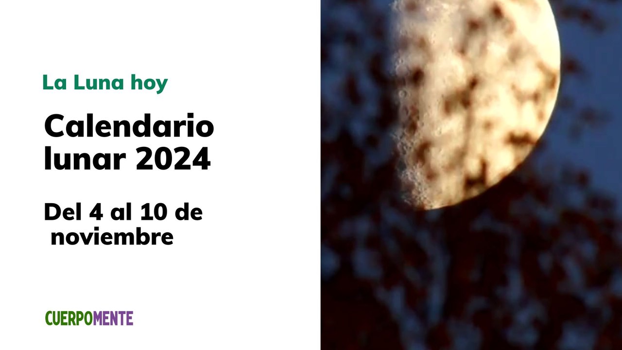 Luna del 4 al 10 de noviembre 2024