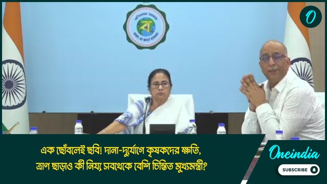 এক ছোঁবলেই ছবি! দানা-দুর্যোগে কৃষকদের ক্ষতি, ত্রাণ ছাড়াও কী নিয়ে সবথেকে বেশি চিন্তিত মুখ্যমন্ত্রী?