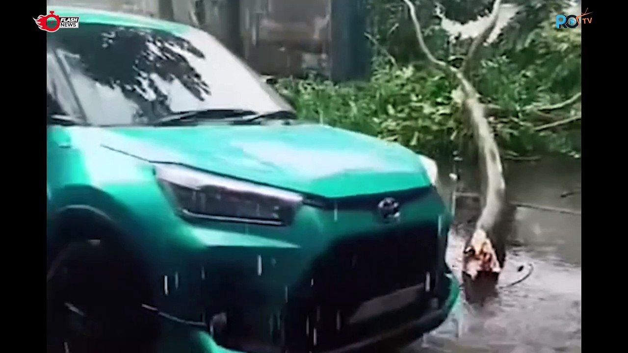 Viral! Anak Sekolah Gotong Royong Angkat Pohon Tumbang