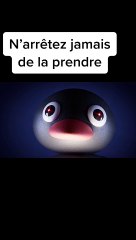 Découvrez mon setup complet PC, caméra et plus pour les passionnés de tech! 🚀