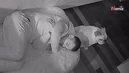 Il décide de faire une sieste dans le panier de son chien : la réaction du toutou est sans équivoque (vidéo)