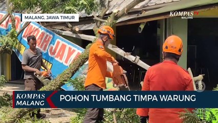 Cuaca Cerah, Pohon Depan Stasiun Malang Tumbang Timpa Warung