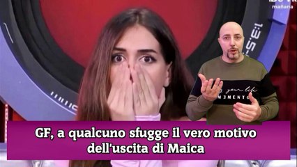 GF, a qualcuno sfugge il vero motivo dell'uscita di Maica