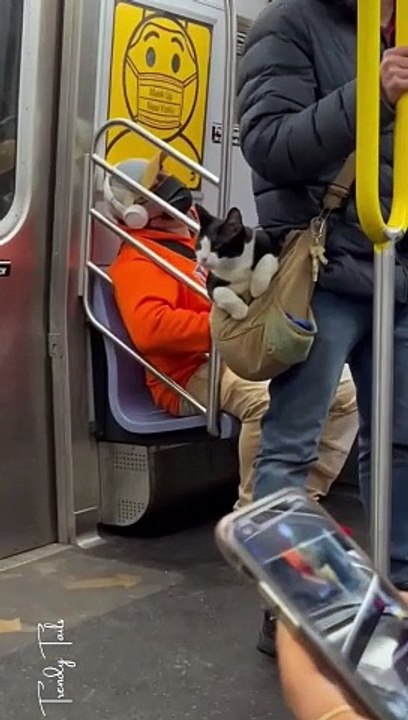 A Journey By Train