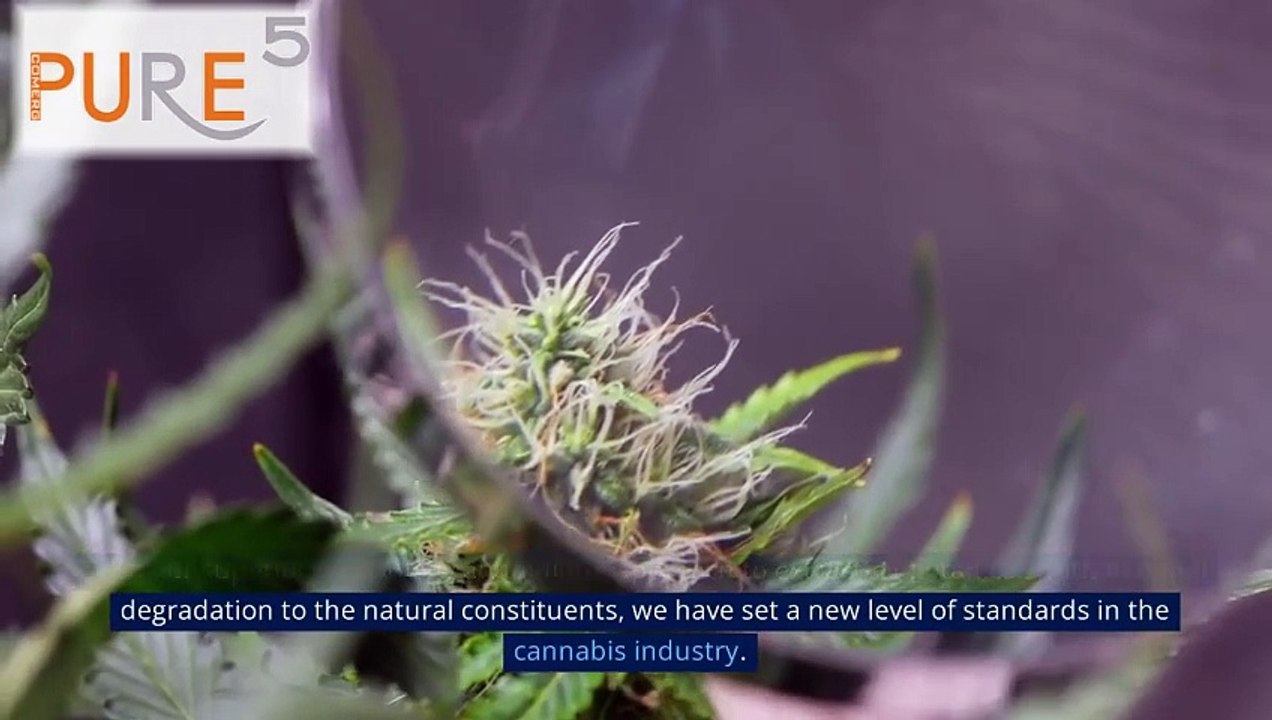 PURE5™: The Future of Cannabis Extraction Technology