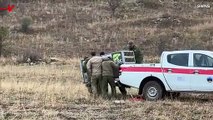 Must See! Bear Release Almost Ends in Disaster After Animal Turns on Rescuers