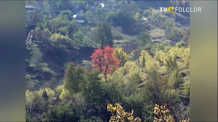 Benone Sinulescu - Vin mandruta, vin pe potecuta (La izvoare buzoiene - TVR - 1995)