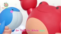 Bath Songs for Bath Time with Sea Animals! - CoComelon Nursery Rhymes & Kids Songs