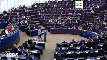 Parlamento europeo, a quanto ammontano i fondi per i gruppi politici dell'Ue
