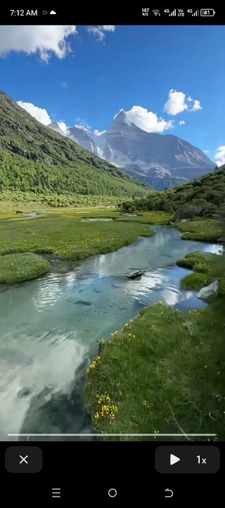 Horse grassing near beautiful mountain area