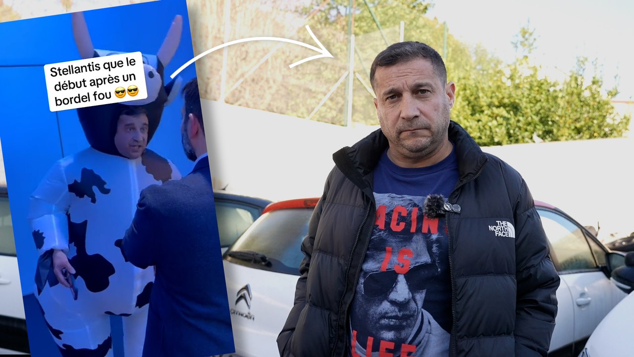 « Je vis un calvaire avec vos voitures » : ce garagiste se déguise en vache pour se plaindre des moteurs de Stellantis