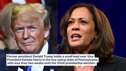 Trump Leads In Swing State Pennsylvania: Did McDonald's Shift Help Support In 2024 Election Poll?