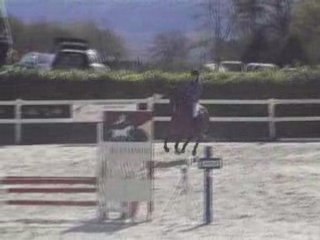 Colline harry club poney elite manoir 13avril2008