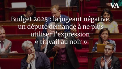 Budget 2025 : la jugeant négative, un député demande à ne plus utiliser l’expression « travail au noir »
