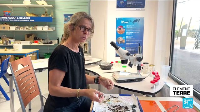 Des centaines de tortues marines naissent dans le sud de la France