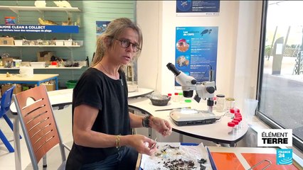 Des centaines de tortues marines naissent dans le sud de la France