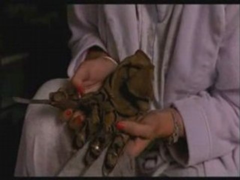 Freddy Krueger - Les Griffes de la Nuit 2