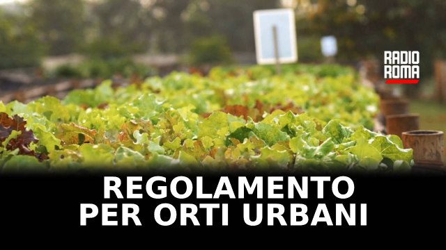 Aula Roma approva regolamento per orti urbani