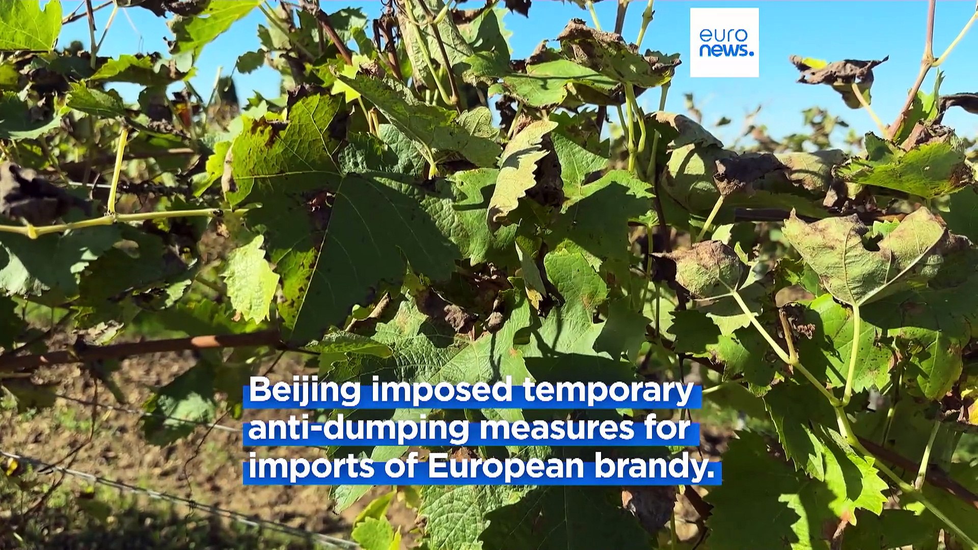 We're being held hostage': French cognac industry angry over EU-China trade  war