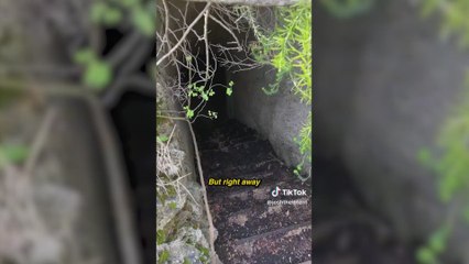 Encuentra una escalera escondida mientras caminaba por el bosque y conduce a un lugar aterrador