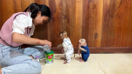 Yuri & Mini: The Most Adorable Baby Monkeys Trending Online!