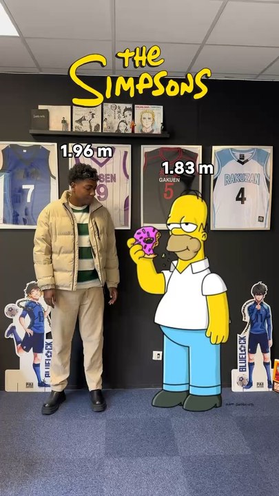 LA TAILLE DES SIMPSONS VS MOI