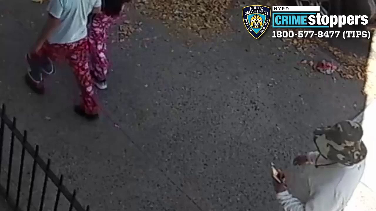 Thieves distract woman, 71, on Brooklyn street, steal her wallet
