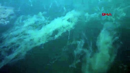 Marmara Denizi'nde müsilaj geri döndü