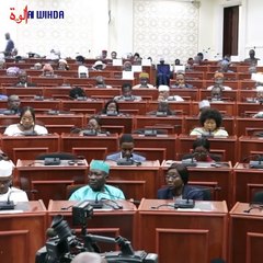 Le conseiller national Ndolassem Takilal : « Monsieur le Président, les gens sont en train de te mentir. Il faut faire très attention sur la question législative. »