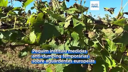 Conhaque apanhado no meio da guerra comercial UE/China: Produtores descontentes