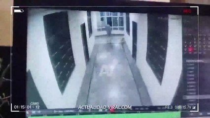 Hombre perdió la vida tras caer de un edificio por perseguir a un perro 