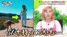 ネコいぬワイドショー 2024年10月25日 ＃100　ゲスト：野沢直子