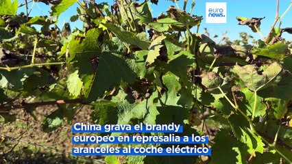 El coñac tiembla ante la guerra comercial entre la UE y China