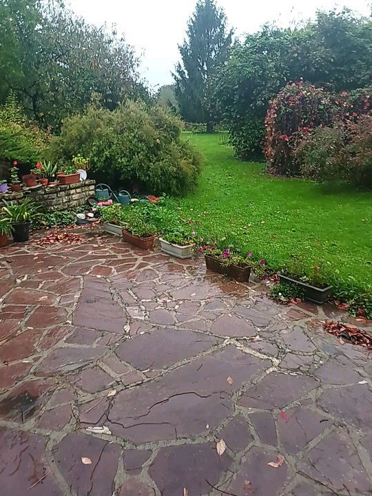Jardin sous la pluie