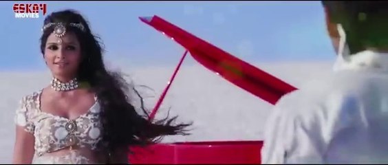 Melodic vibes, beat buzz, music songs,