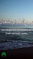 Surah Ar Rahman, verses: 19-23