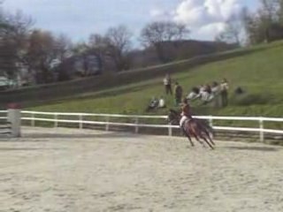 Aino iris de chaume club2 manoir 13avril2008