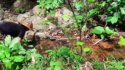 EP.52 - Fazendo armadilhas para peixes