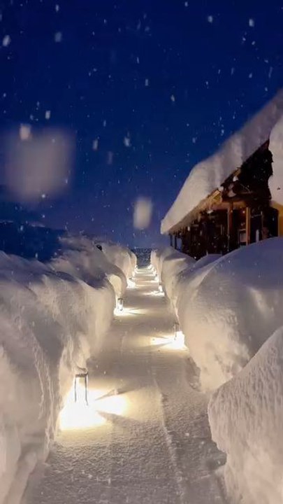 "The Heavy Snow is Flying At The Blue Moment Scenery Winter Follow For More Videos Have Virelreels"...!!