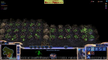 StarCraft 2  СТРОИМ МУРАВЬИНУЮ КОЛОНИЮ! #StarCraft