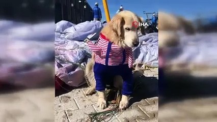 Köpeğiyle birlikte 1700 metreden atladı