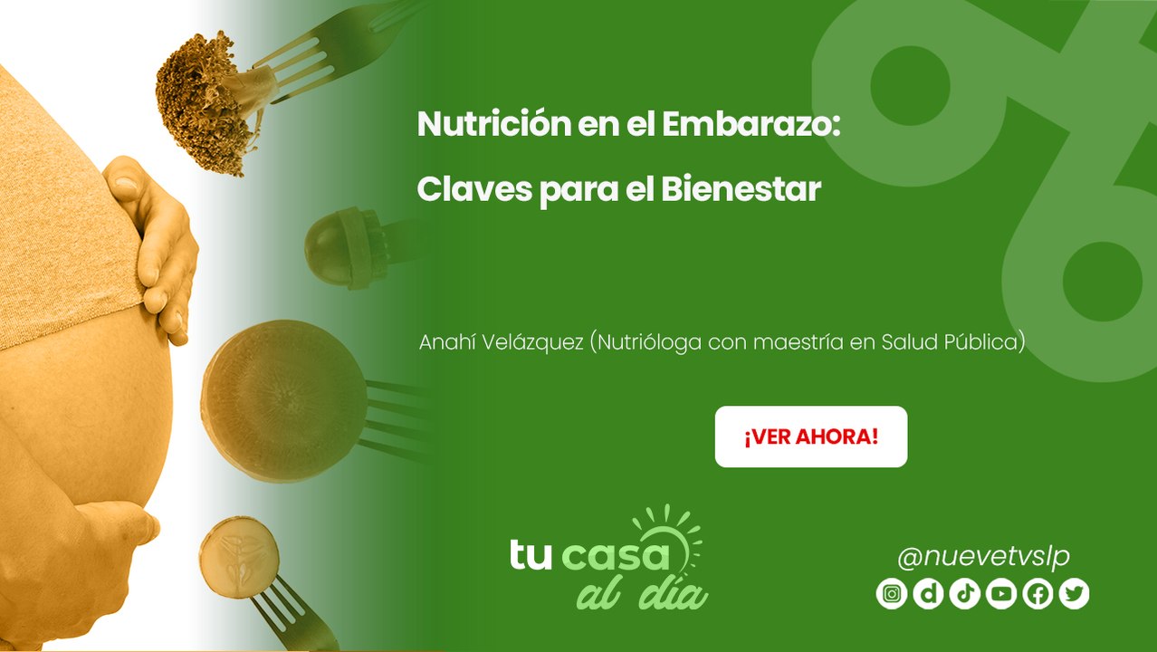 Nutrición en el Embarazo: Claves para el Bienestar