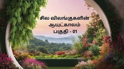 விலங்குகள் எவ்வளவு காலம் வாழ்கின்றன: விலங்குகளின் ஆயுட்காலம் - பகுதி 1