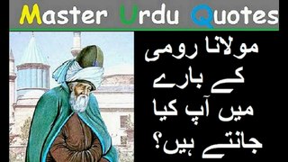 What do you know about Maulana Romi