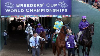 Preview: Breeders' Cup Classic, Distaff & Turf Races