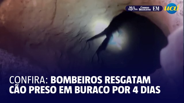 Confira: bombeiros resgatam cão preso em buraco por 4 dias